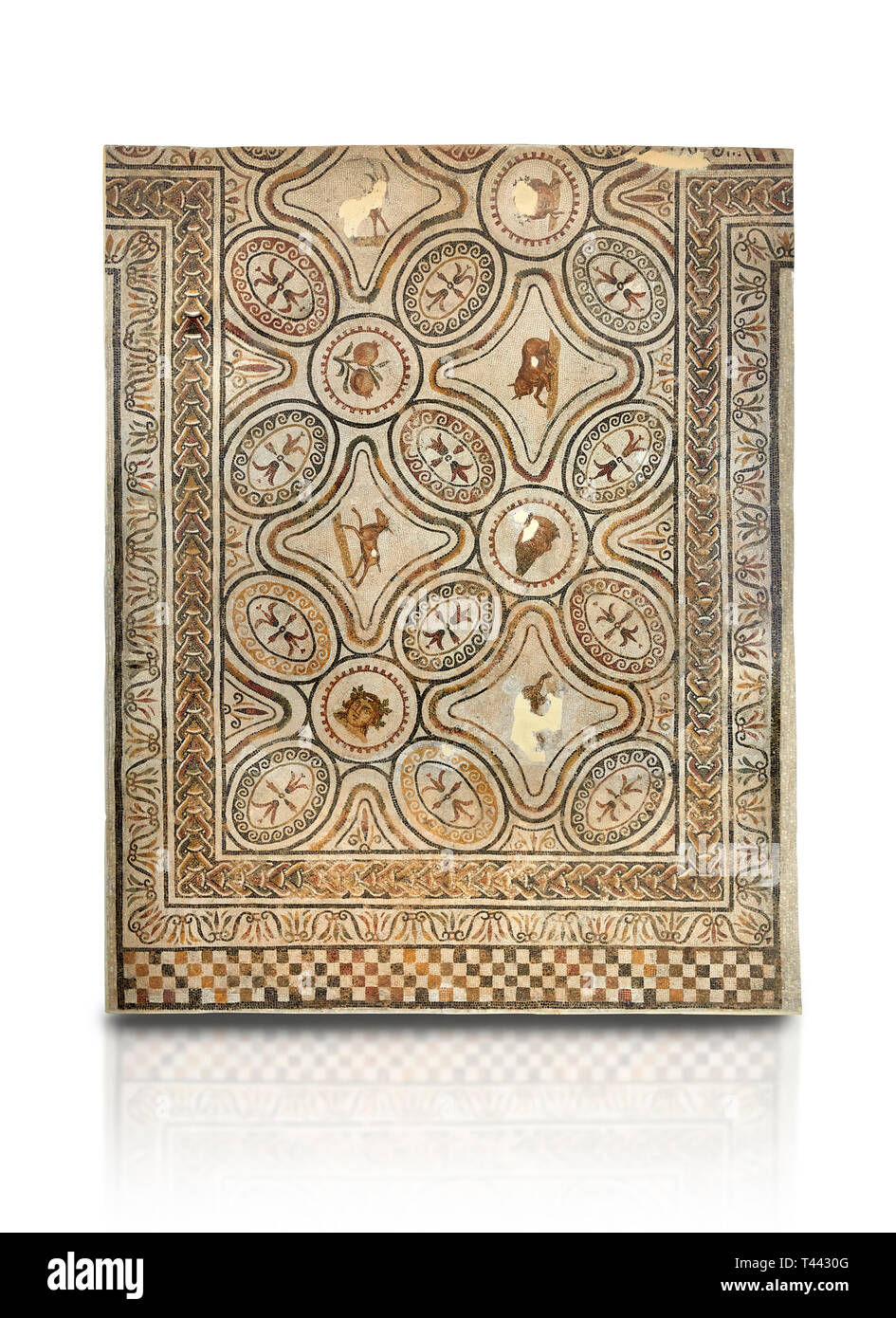Bilder von einem geometrischen römischen Mosaiken mit Tieren & Obst, von der antiken römischen Stadt Thysdrus. 3. Jahrhundert n. El Djem Archäologische Museum, El Stockfoto