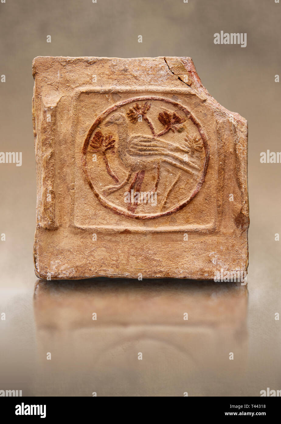6th-7th Century Byzantinische christliche Terracotta Fliesen mit der Darstellung eines Vogel - in Byzacena produziert - heute Tunesien. Diese frühen Christlichen terracott Stockfoto