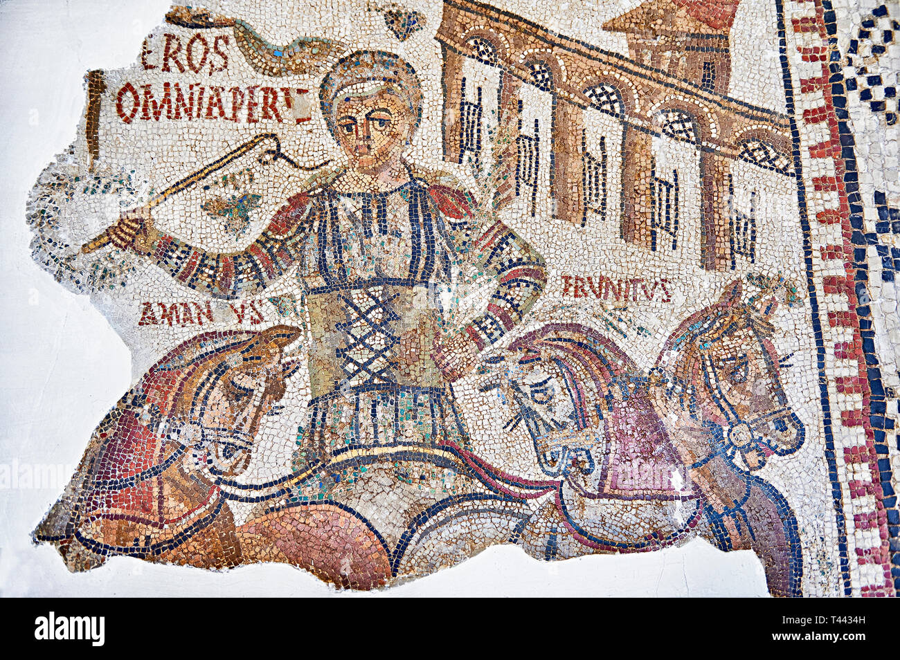 4. Jahrhundert römische Mosaik Panel von Eros, ein Zirkus wagen Reiter der roten Fraktion. Von Dougga, Tunesien. Das Bardo Museum, Tunis, Tunesien. Stockfoto