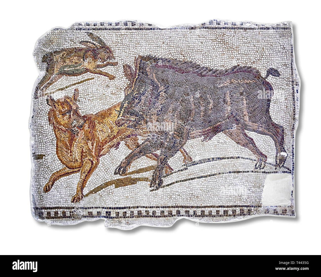 Erste Hälfte des 3. Jahrhunderts AD römische Mosaik Darstellung ein Wildschwein und Hase Jagd. Von Hadrumetum (Sousse), Tunesien. Das Bardo Museum, Tunis, Tunis Stockfoto