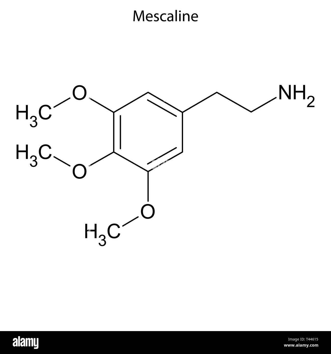 Skelettmuskulatur Formel von Meskalin. chemische Molekül Stock Vektor