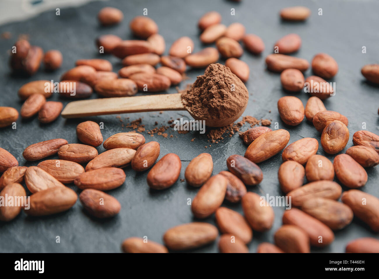 Bio Kakaobohnen, Kakaopulver in einem Kochlöffel und Schokolade auf einen schwarzen Stein Hintergrund Stockfoto