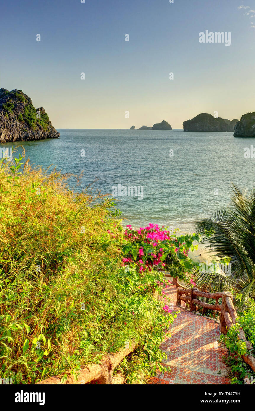 Cat Ba Island, Vietnam Stockfoto