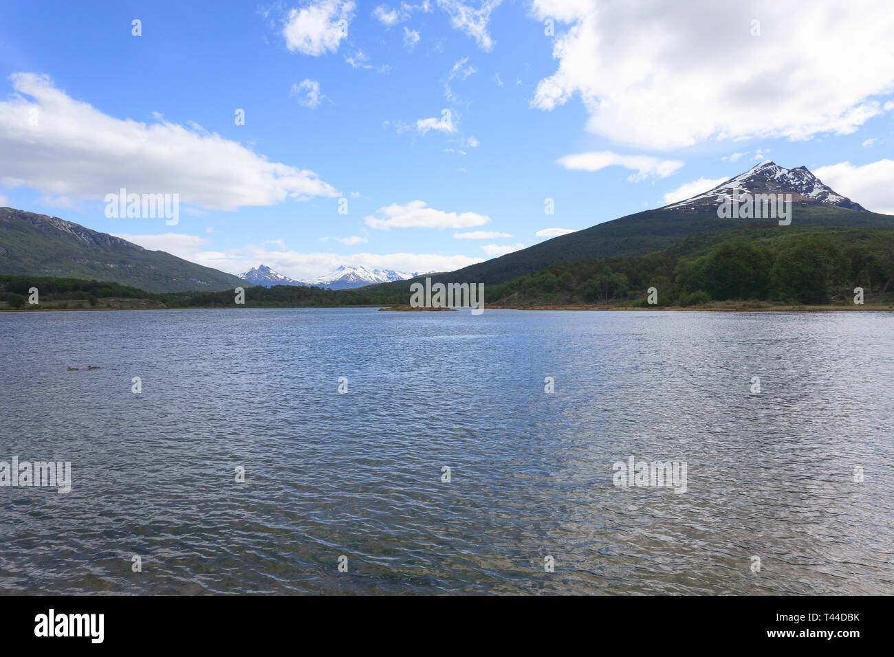 Lapataia bucht Landschaft, Tierra del Fuego National Park, Argentinien. Argentinische Sehenswürdigkeit Stockfoto