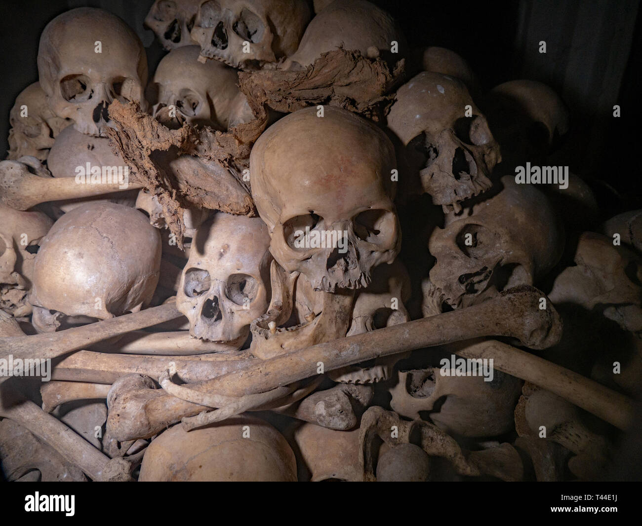 In Battambang, Kambodscha, 01-12-2018. Ein Haufen von Schädel und menschliche Knochen, die in der Tötung Höhlen von Kambodscha. Jeder war eine Person, die von der Khmer Rouge ermordet Stockfoto