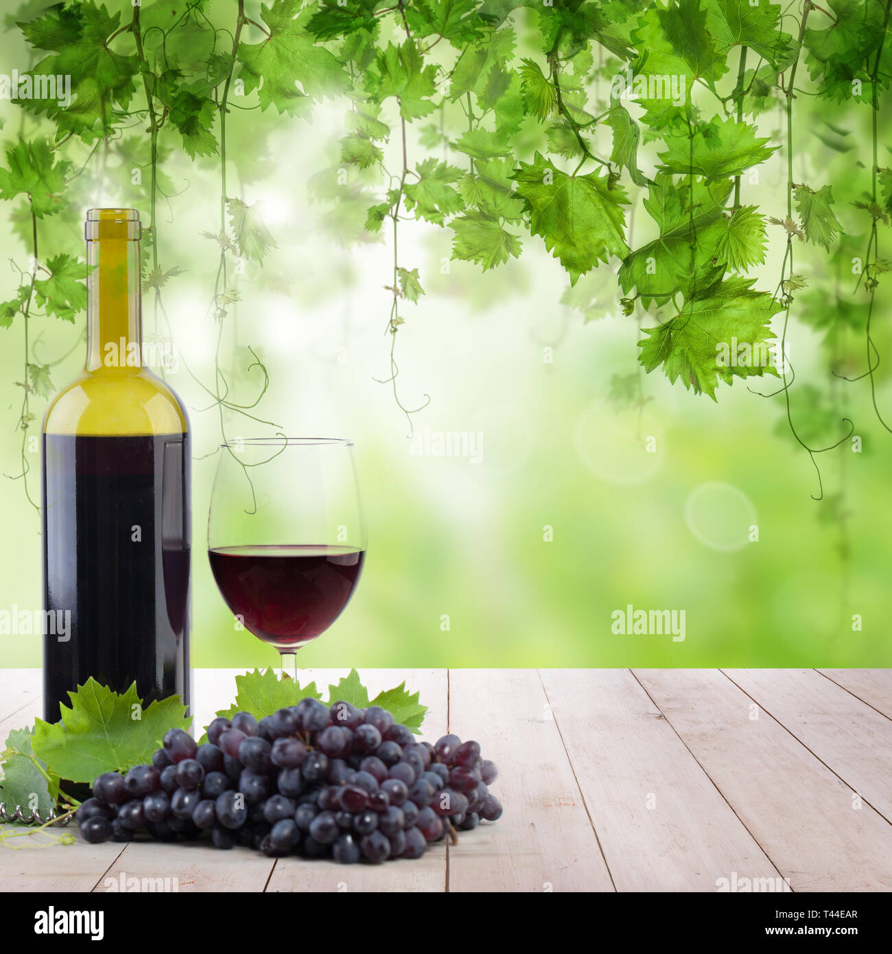 Weinberg im Morgenlicht, Flasche mit Glas Rotwein auf den Tisch Stockfoto