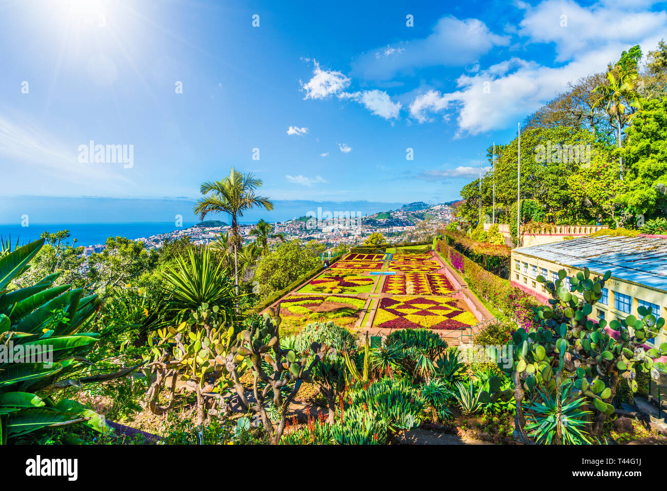 Die hauptstadt von madeira Stockfotos und bilder Kaufen Alamy
