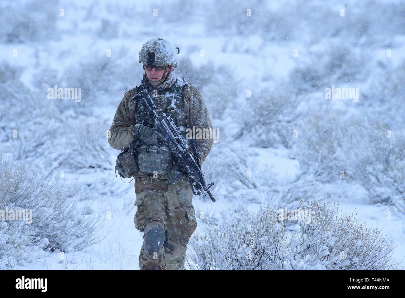 Soldaten aus Charlie Company, 2-116 th Kavallerie Brigade Combat Team, Idaho Army National Guard, Praxis kombinierte Waffen Infanterie Bataillon, squad Ebene Bewegungen auf den Obstgarten Combat Training Center, Jan. 20, 2019. Die Ausbildung kombiniert trocken Feuer Probe im Live Fire Übung gipfelte. Stockfoto