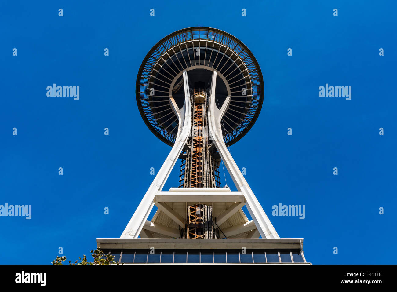 Der Aufzug geht bis an die Spitze des Space Needle in Seattle. Stockfoto
