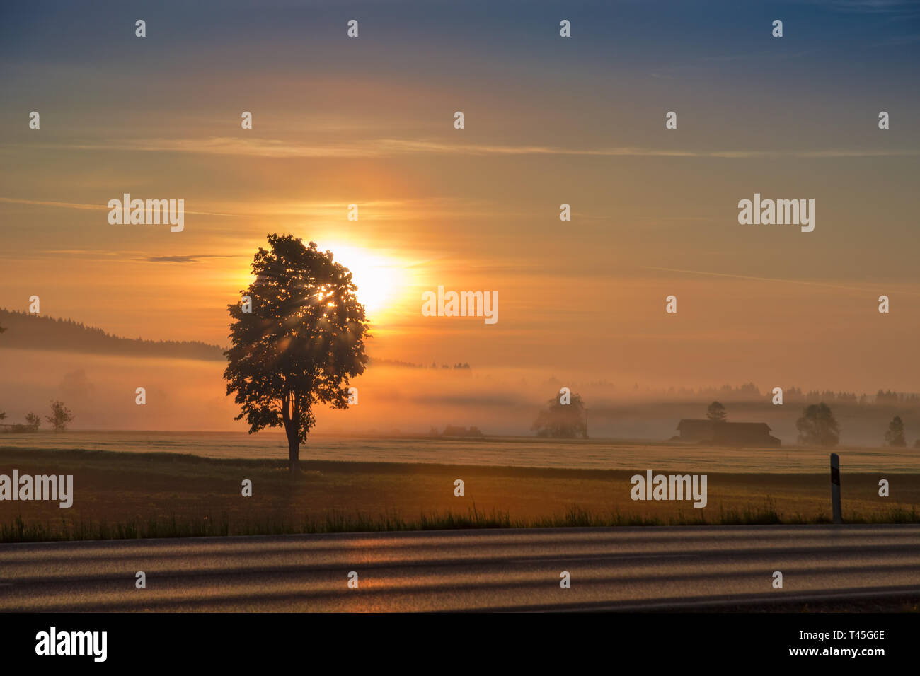 Morgen dämmern Sonne und steigende Sonnenstrahlen über dunstigen Feld und Straße Stockfoto