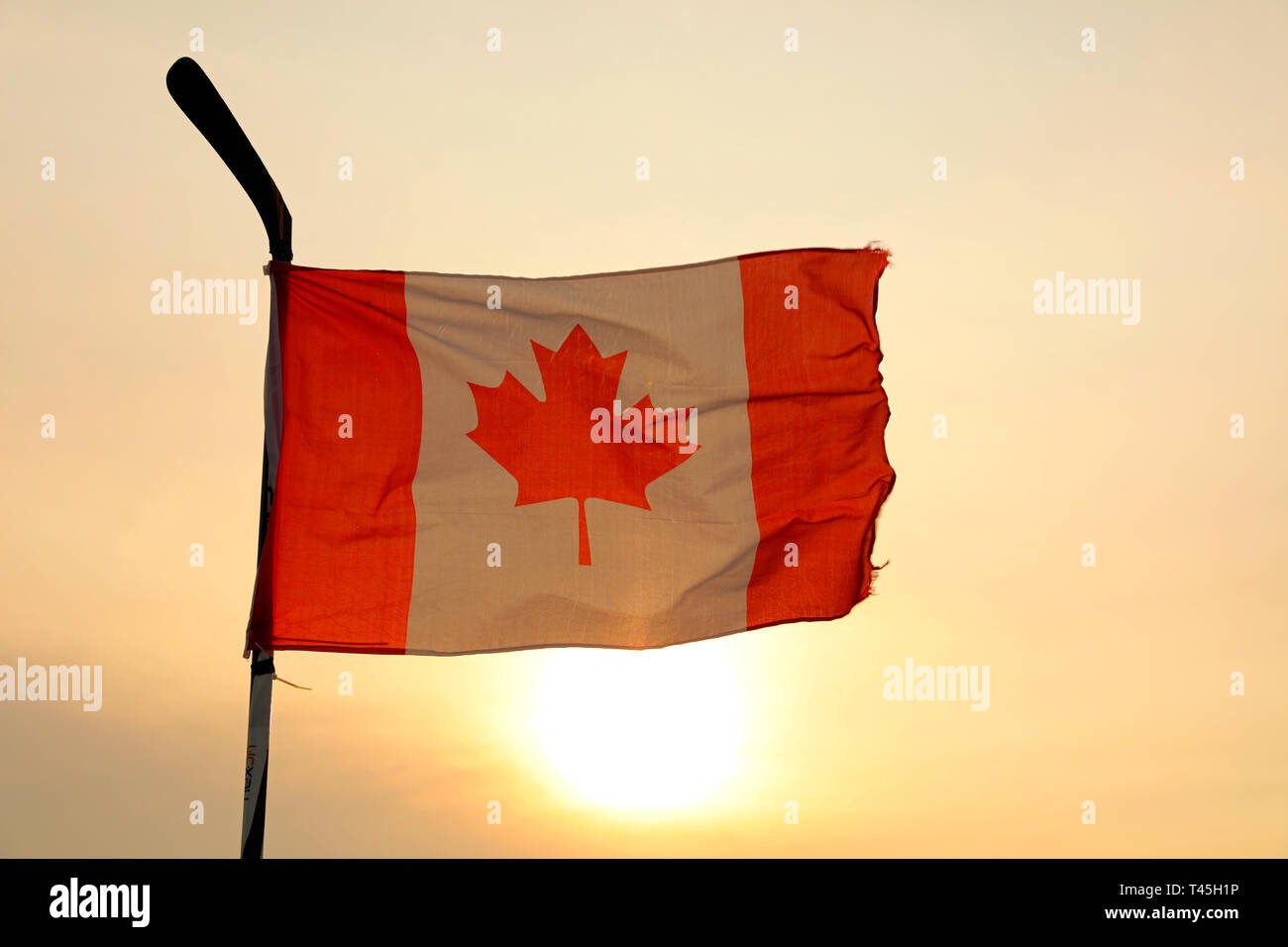 Kanadische Flagge mit einem Hockey Stick! Stockfoto