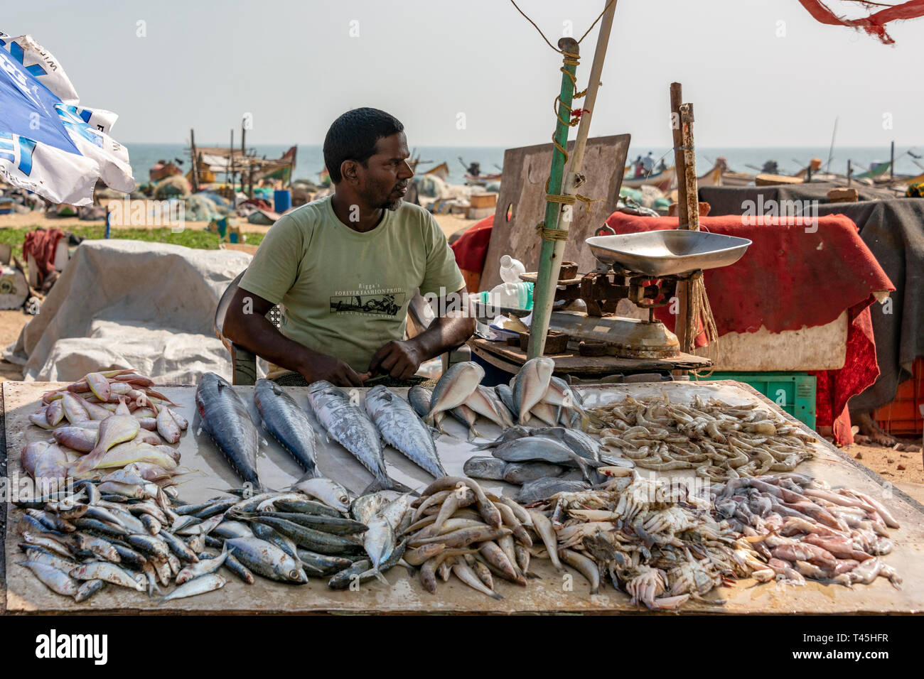 Horizontale Porträt eines Mannes, den Verkauf von Fisch im Marina Beach Fischmarkt in Chennai, Indien. Stockfoto