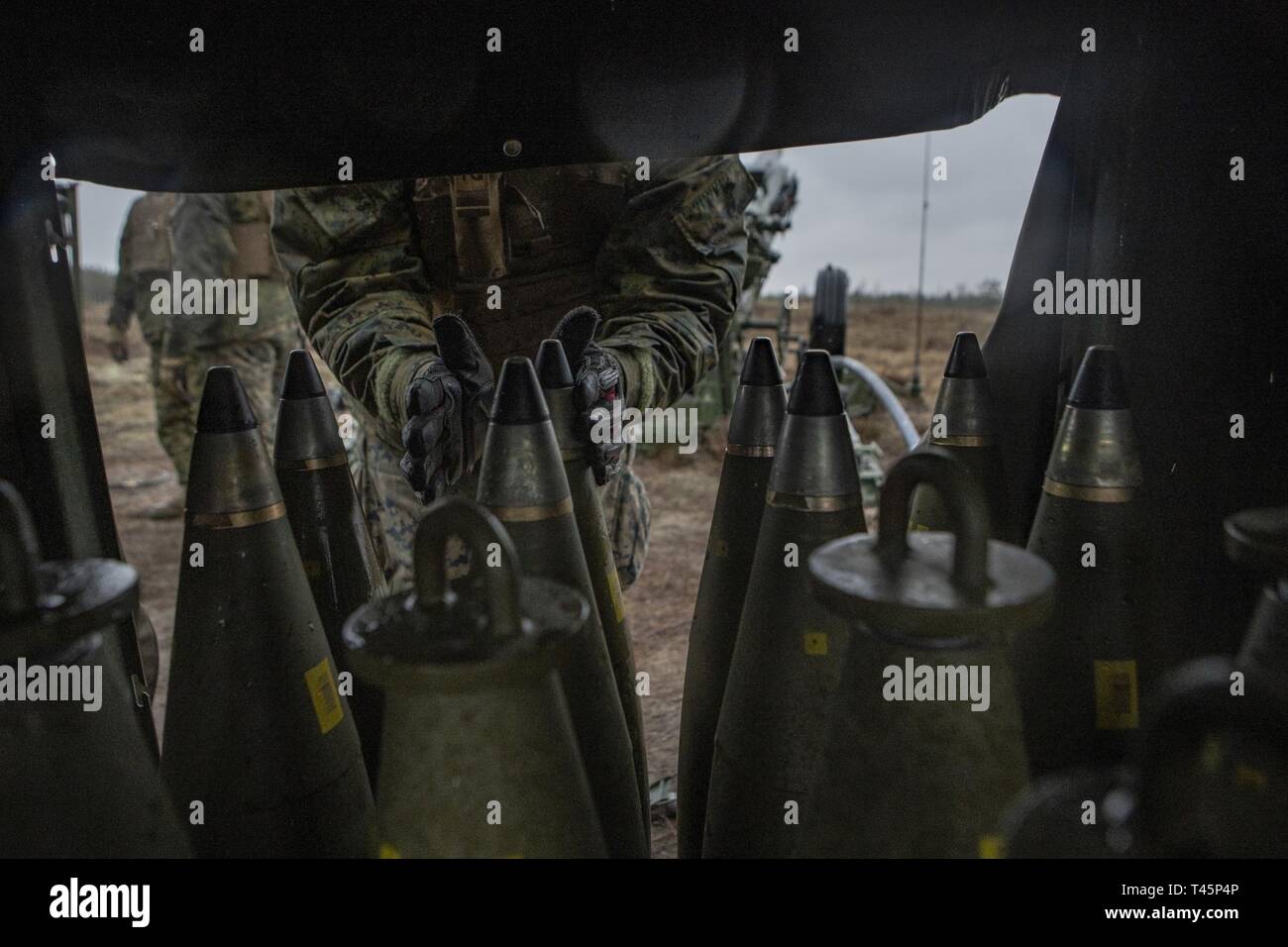 Ein US-Marine mit Hotel, 3. Batterie Bataillon, 14 Marine Regiment, 4 Marine Division, Schrauben an einer Sicherung auf eine M795 155 mm Projektil während der Live-Fire Training an Adazi, Lettland, 5. März 2019, zur Unterstützung der Übung Dynamische Front 19. Übung Dynamische Front 19 umfasst ca. 3.200 Mitglieder aus 27 Nationen, die zu beobachten sind oder die Teilnahme von grafenwöhr Training Area, Deutschland; Riga, Lettland; und Torun, Polen; im März 2-9, 2019. Dynamische Vordere ist eine jährliche US-Army Europe Übung konzentriert sich auf die Bereitschaft und die Interoperabilität der US-Armee, gemeinsamen Dienst, Stockfoto