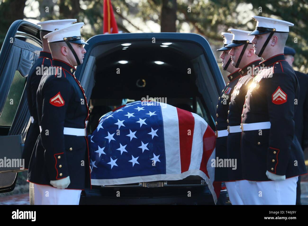 Marine Corps Körper Träger, Bravo Company, Marine Barracks Washington D.C., stand an der Stelle der Aufmerksamkeit während eines vollen Ehren Begräbnis für Generalleutnant Leo Dulacki auf dem Arlington National Cemetery, Arlington, Virginia, 13. März 2019. Dulacki trug in der Marine Corps 1941 und erhielt die Kommission als zweiter Leutnant Sept. 2, 1941. Während seiner 32 Jahre Service, Dulacki kämpfte im Zweiten Weltkrieg, Korea und Vietnam; er zog sich im Januar 1974. Seine persönliche Dekorationen enthalten den Distinguished Service Medal mit einem goldenen Stern, Legion of Merit mit einem Kampf Unterscheidung Gerät für Valor Stockfoto