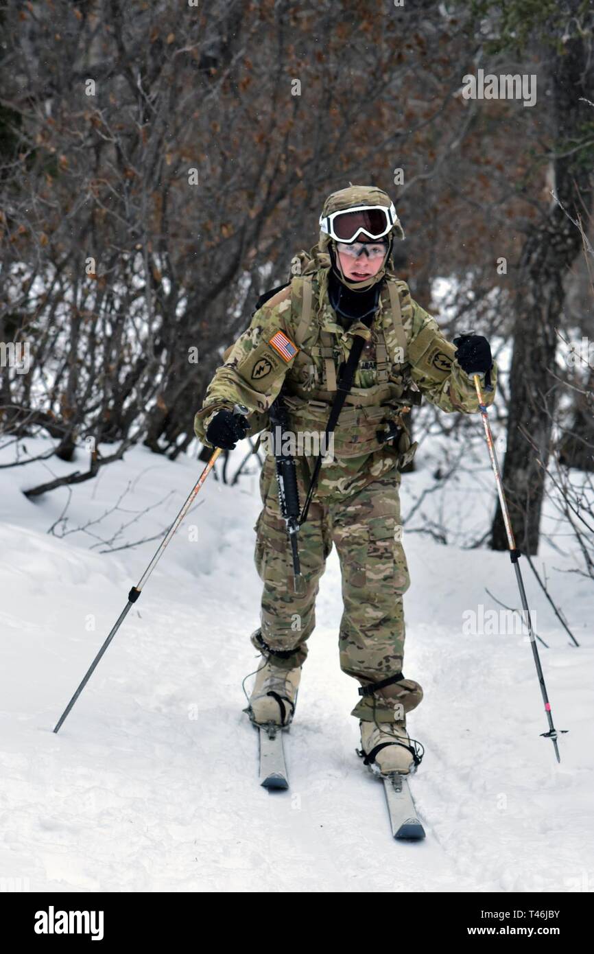 Bei kaltem Wetter Führer Kurs 19-004 Studenten ski entlang Hippie Trail am nördlichen Warfare Training Center Black Rapids Training Website während der 10 Kilometer im Biathlon vom 12. März 2019. Das kalte Wetter Führer Kurs schult Kader- und platoon-Führer in die Kenntnisse und Fähigkeiten, die zur erfolgreichen kleinen unit operations in einer kalten, verschneiten Umgebung durchführen. Schwerpunkt liegt dabei auf den Auswirkungen der Kälte auf Personal und Material, die Nutzung von grundlegenden kaltem Wetter Kleidung und Ausrüstung, winter Bereich Handwerk, Schneeschuh und Ski Techniken und Winter oder kalten Regionen Navigation und Routenplanung Stockfoto