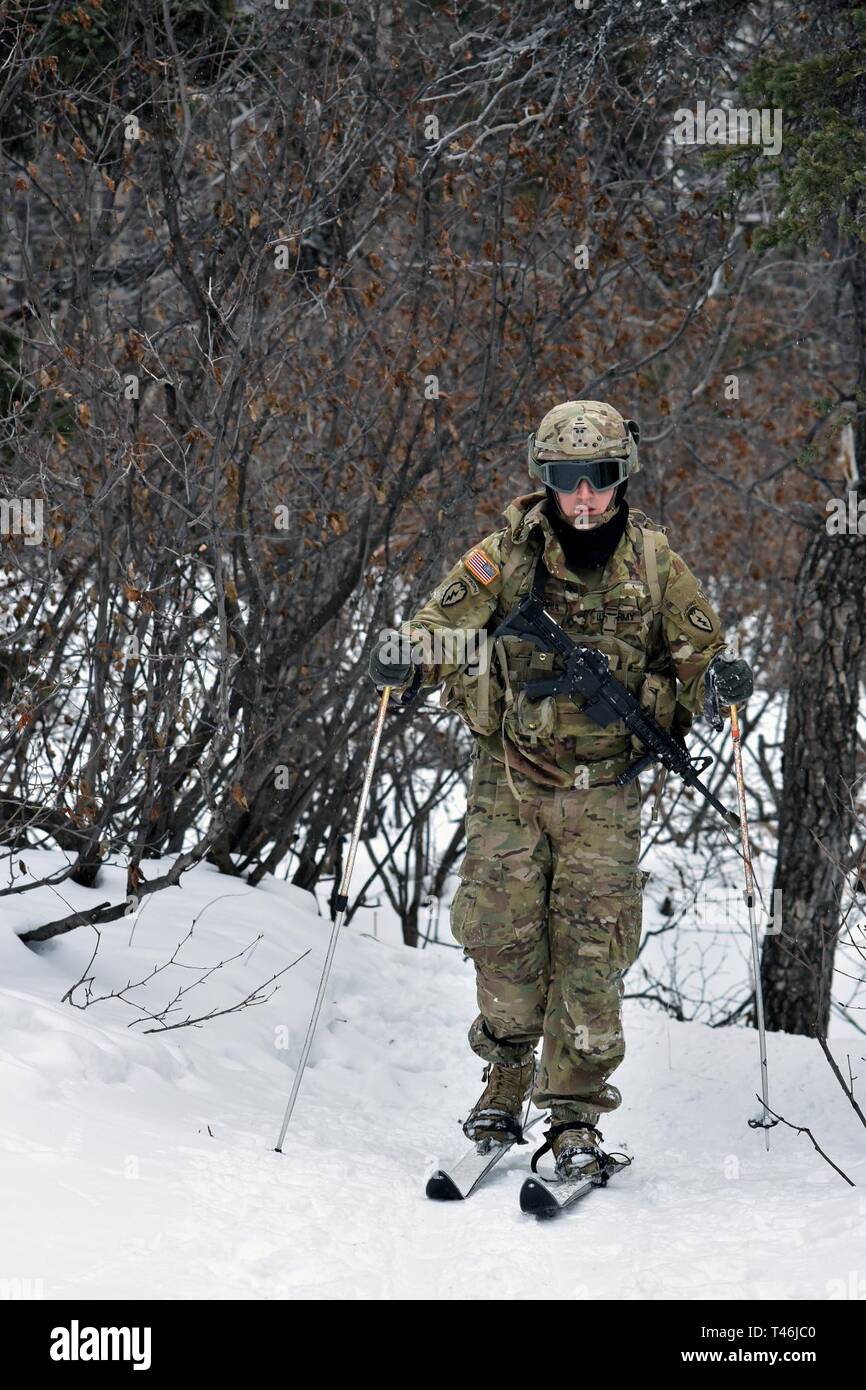 Bei kaltem Wetter Führer Kurs 19-004 Studenten ski entlang Hippie Trail am nördlichen Warfare Training Center Black Rapids Training Website während der 10 Kilometer im Biathlon vom 12. März 2019. Das kalte Wetter Führer Kurs schult Kader- und platoon-Führer in die Kenntnisse und Fähigkeiten, die zur erfolgreichen kleinen unit operations in einer kalten, verschneiten Umgebung durchführen. Schwerpunkt liegt dabei auf den Auswirkungen der Kälte auf Personal und Material, die Nutzung von grundlegenden kaltem Wetter Kleidung und Ausrüstung, winter Bereich Handwerk, Schneeschuh und Ski Techniken und Winter oder kalten Regionen Navigation und Routenplanung Stockfoto