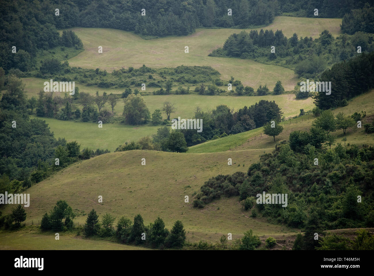 Wellenförmige Linien auf der Seite des Hügels. Grüne Farbtöne in den Hügel. Stockfoto