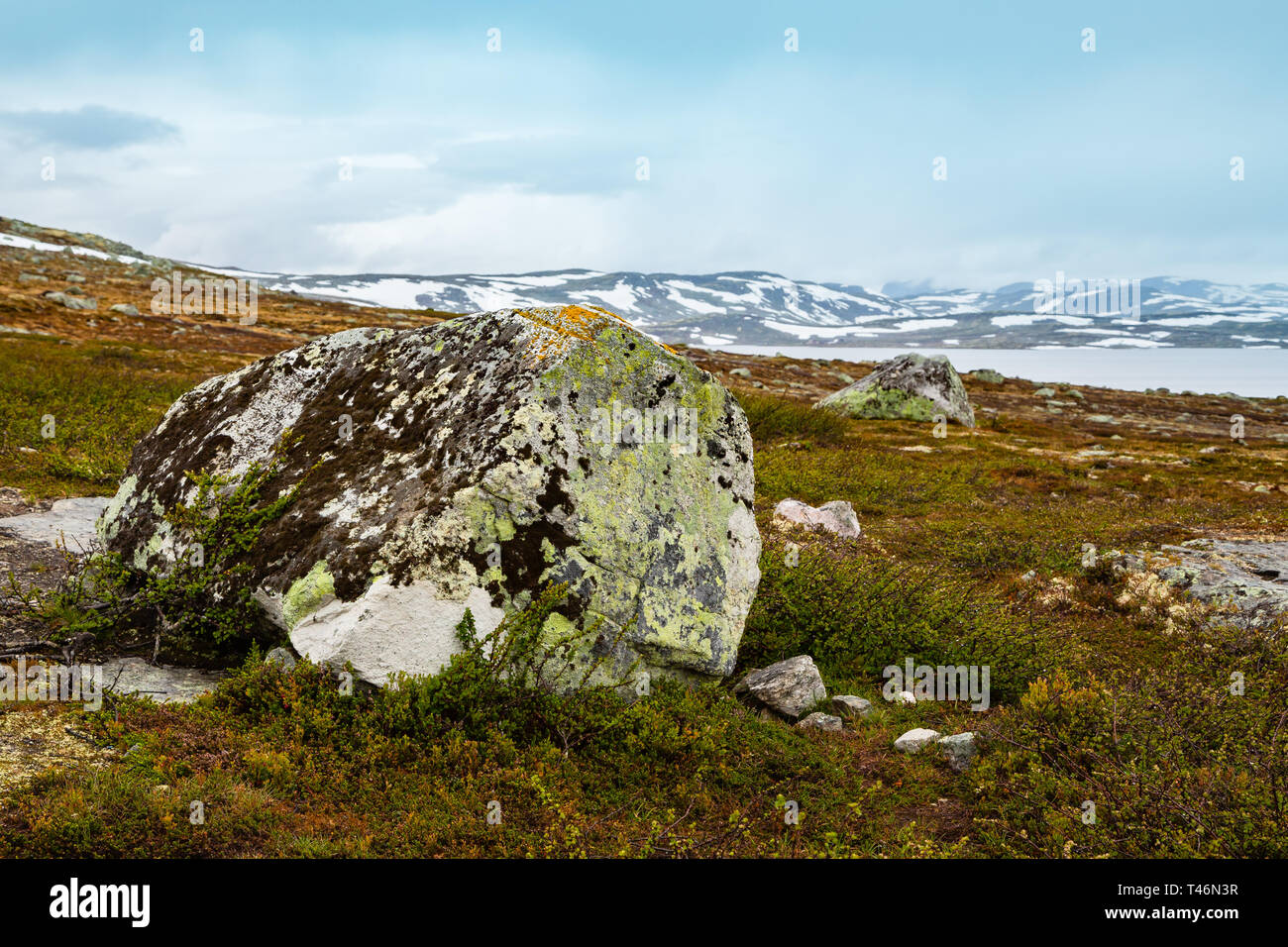 Steine Felsbrocken bedeckt mit Moos. Norwegische Klima. Norwegen Landschaften. Schönen bergigen Landschaft rund um Norwegischen Fjord in sonniger Tag. Beautifu Stockfoto