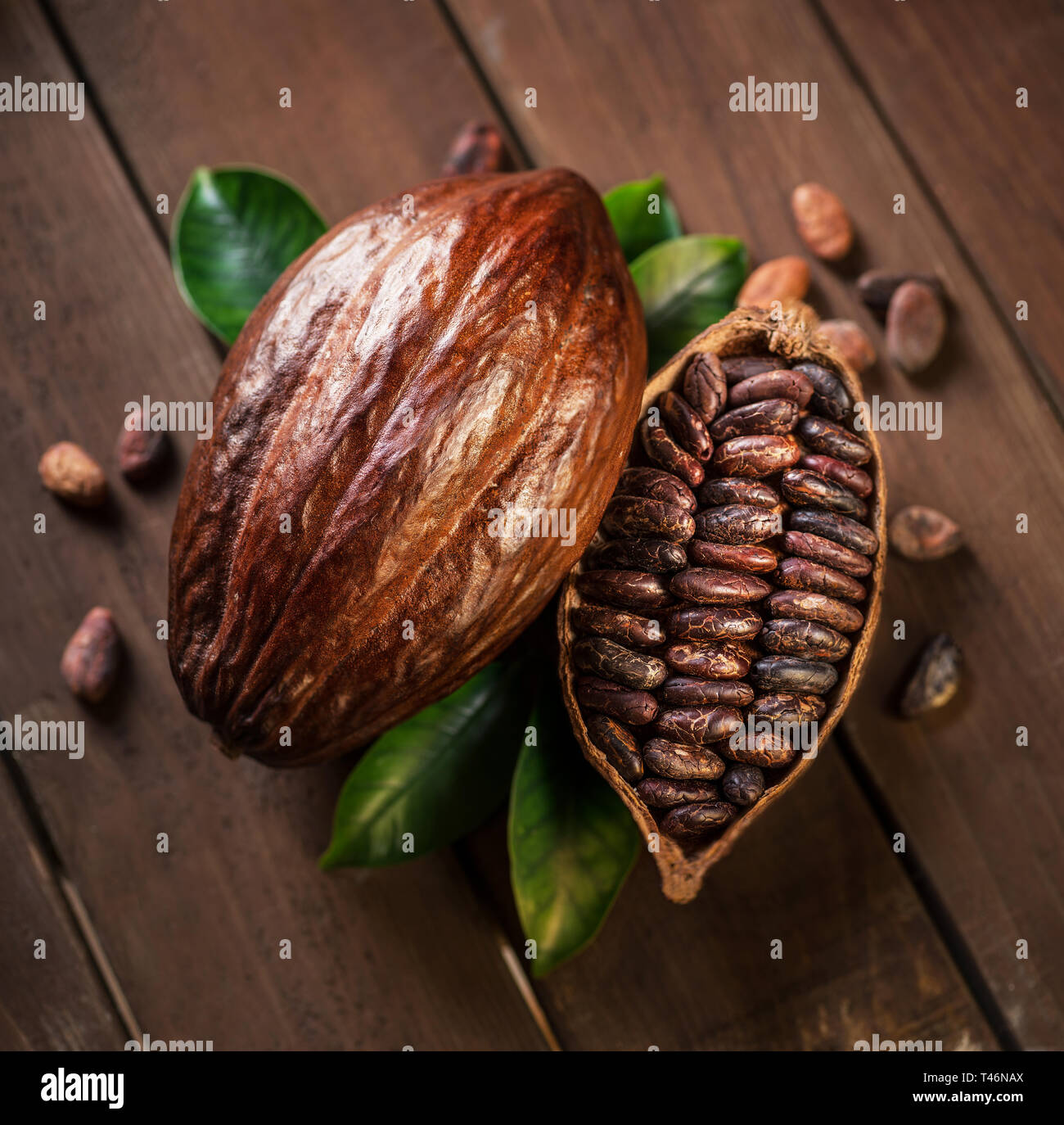 Kakaofrüchte und Kakao Bohnen auf dem Holztisch. Stockfoto