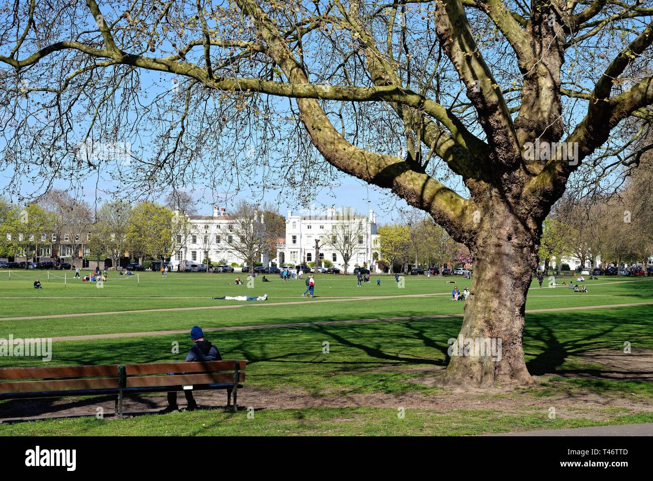 Richmond Green an einem sonnigen Frühlingstag, Richmond an der Themse Surrey Greater London England Großbritannien Stockfoto