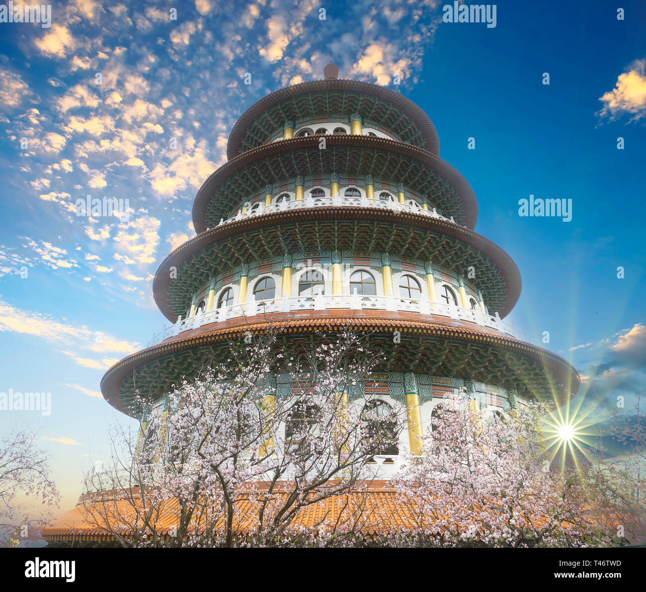 Den Punkt Ansicht Sakura Kirschblüte an Tianyuan Tempel, der tianyuan Tempel ist berühmt für seine schöne Landschaft und ein schöner Ort für Cherry blosso Stockfoto