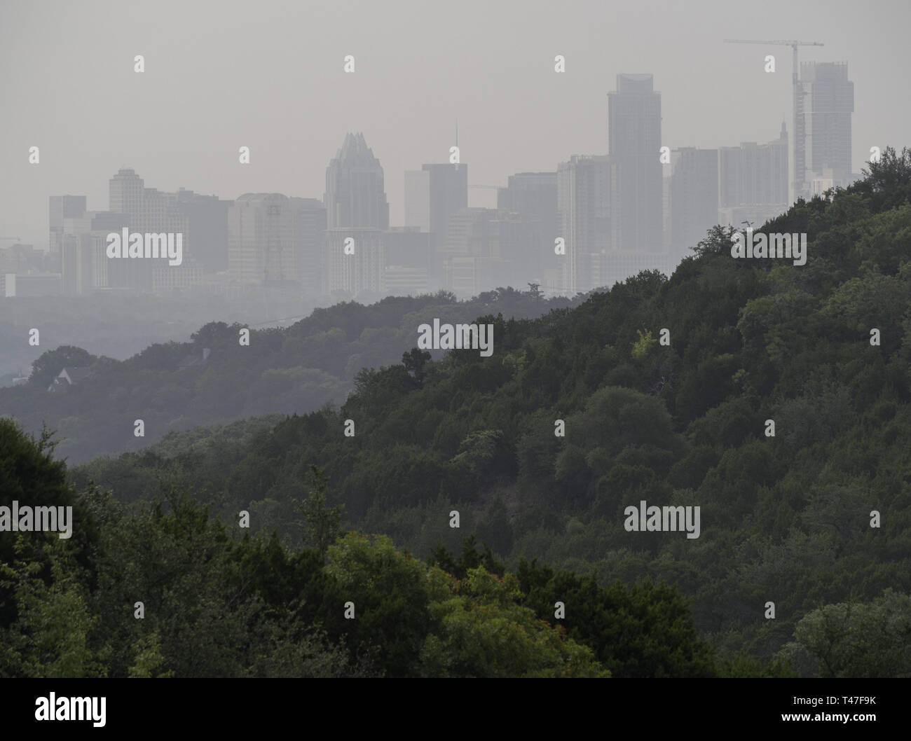 Skyline von Austin, Texas im Morgennebel Stockfoto