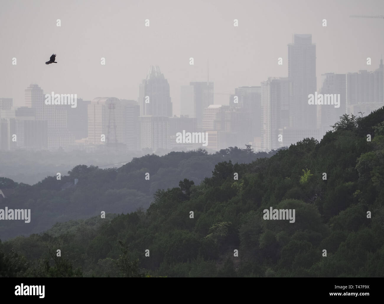 Skyline von Austin, Texas im Morgennebel Stockfoto