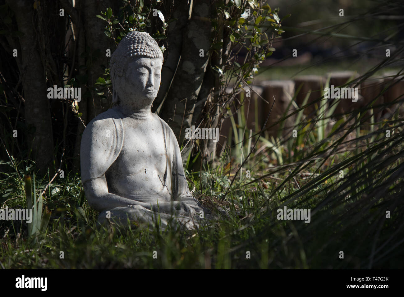 Eine Buddha-Statue, die zwischen hohem Gras und Bäumen meditiert Stockfoto