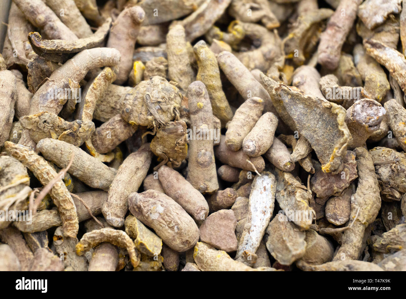 Trockene Kurkuma (Curcuma longa) Hintergrund Nahaufnahme. Kochen und aromatische Würze Hintergrund Stockfoto