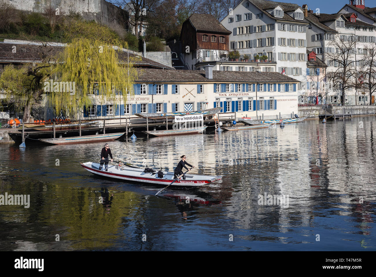 Rudern auf dem Fluss Limmat, Zürich, Schweiz Stockfoto