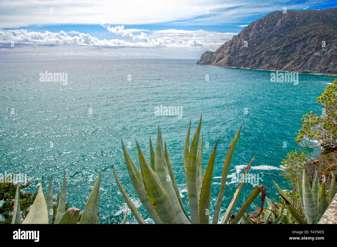 Küste der Cinque Terre in Ligurien La Spezia, Ligurien, Italien Stockfoto