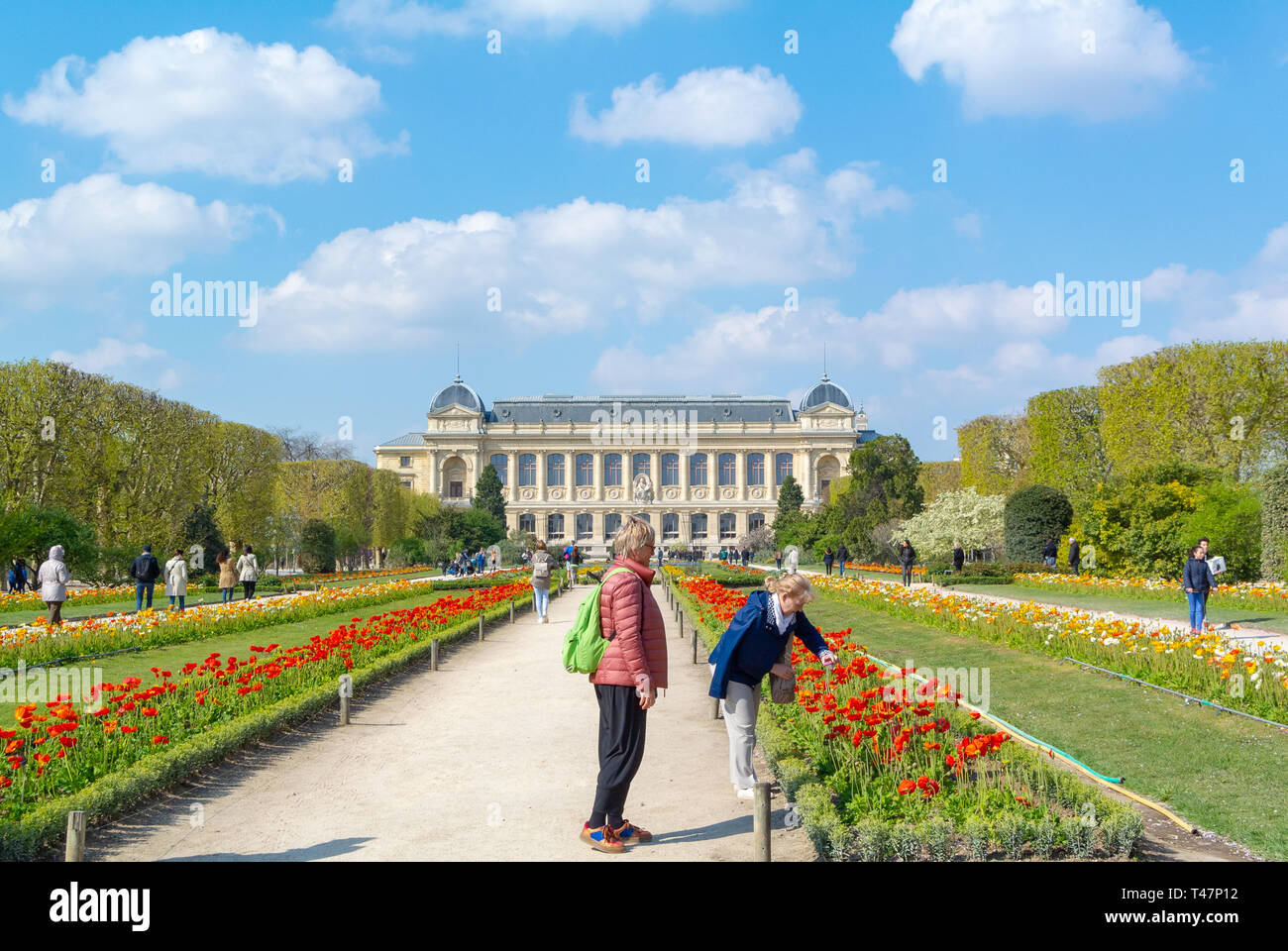 Grande Galerie de l'Evolution mit Menschen auf der Suche nach Blüten des Jardin des Plantes, Paris, Frankreich Stockfoto