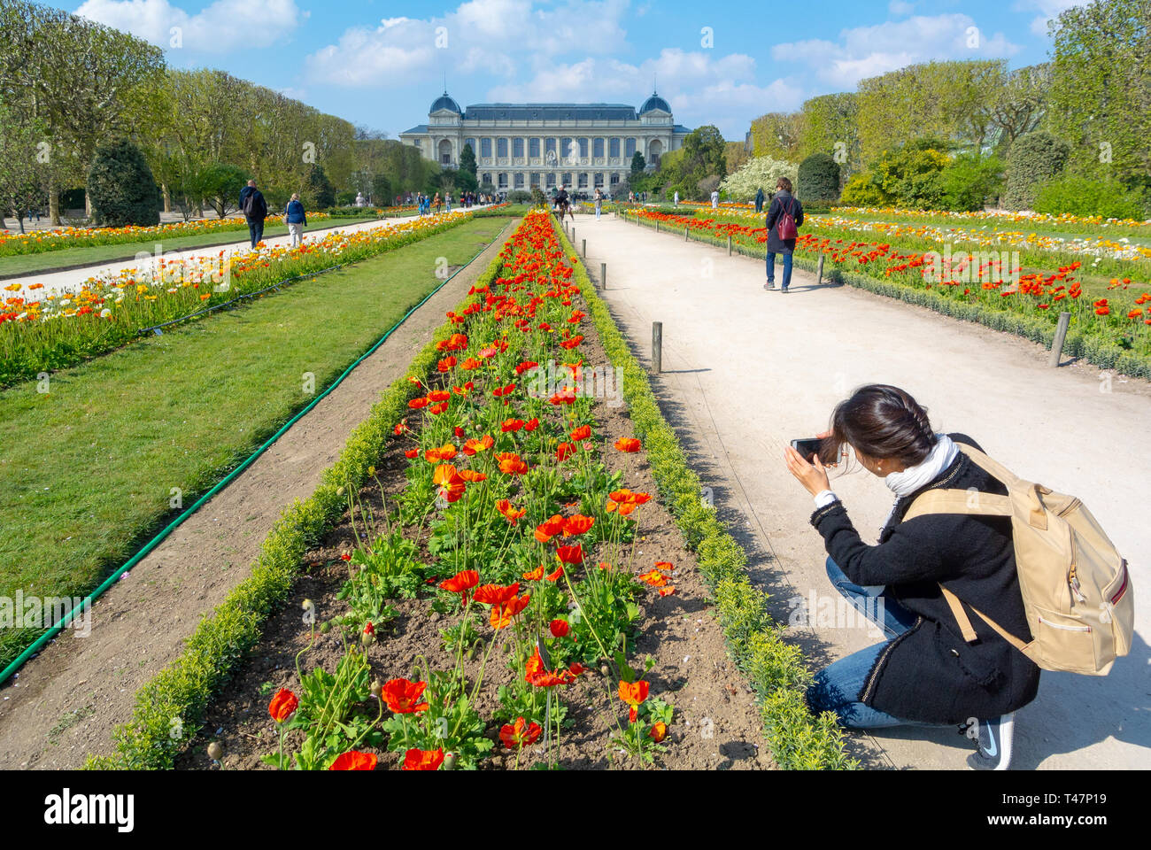 Eine Frau, die mit der Grande galerie de l'Evolution eine Pflanze mit Blumen im jardin des plantes in paris fotografiert Stockfoto