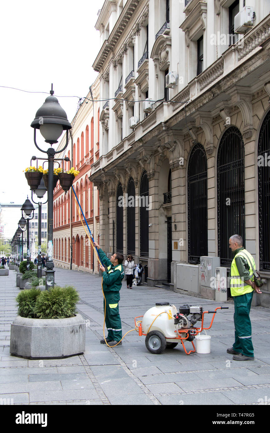 Belgrad, Serbien - April 9, 2019: Stadt grün service Blumen gießen in Körben an Lichtmasten in Fußgängerzone Stockfoto