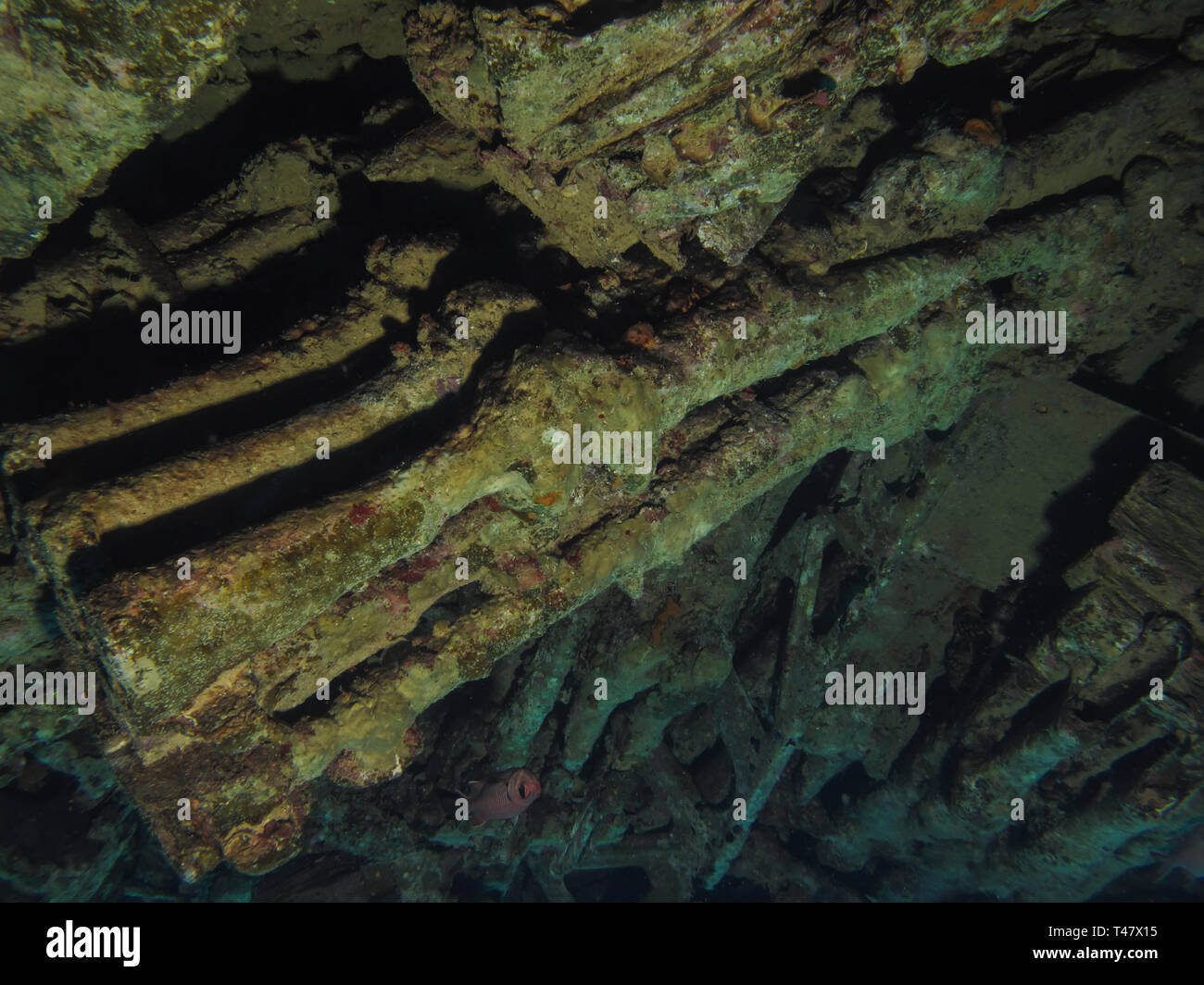 Wrack der SS Thistlegorm, versenkt am 5. Oktober 1941 im Roten Meer und ist heute ein bekannter Tauchplatz. Stockfoto