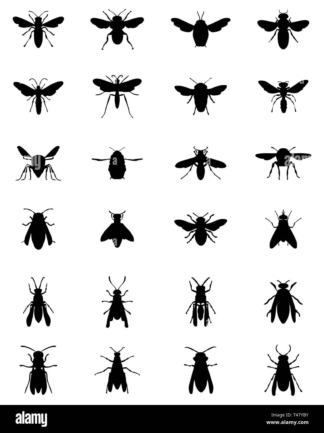 Schwarze Silhouetten von Bienen und Wespen auf weißem Hintergrund Stockfoto