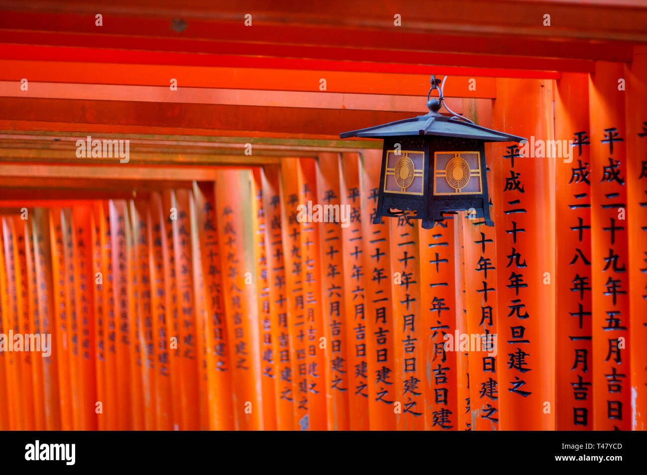 Rote torii Korridor und hängende Lampe in Fushimi Inari taisha, Kyoto Stockfoto