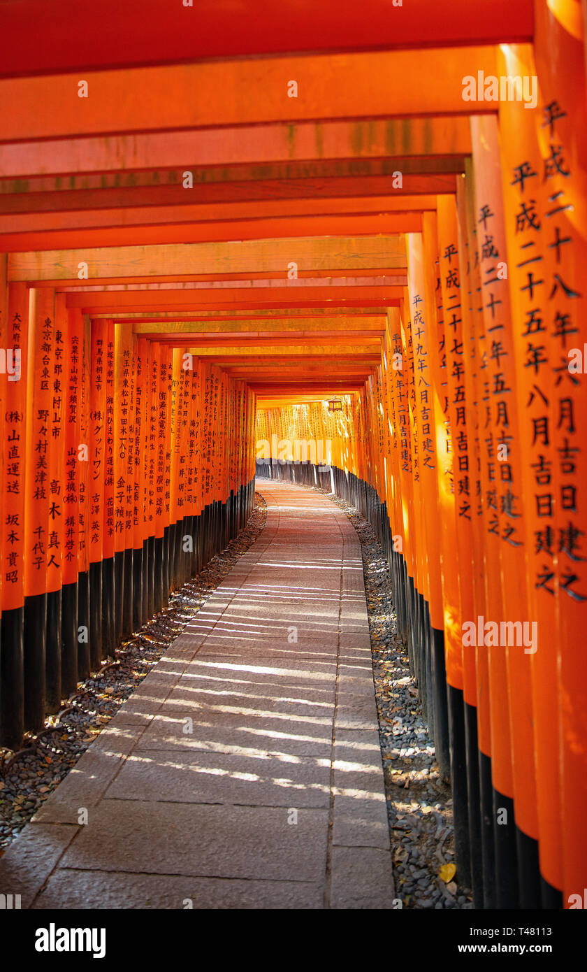 Kyoto, Japan - 20. April 2018: Die Tausend Torii Tore Weg des Fushimi Inari Taisha Tempel Stockfoto