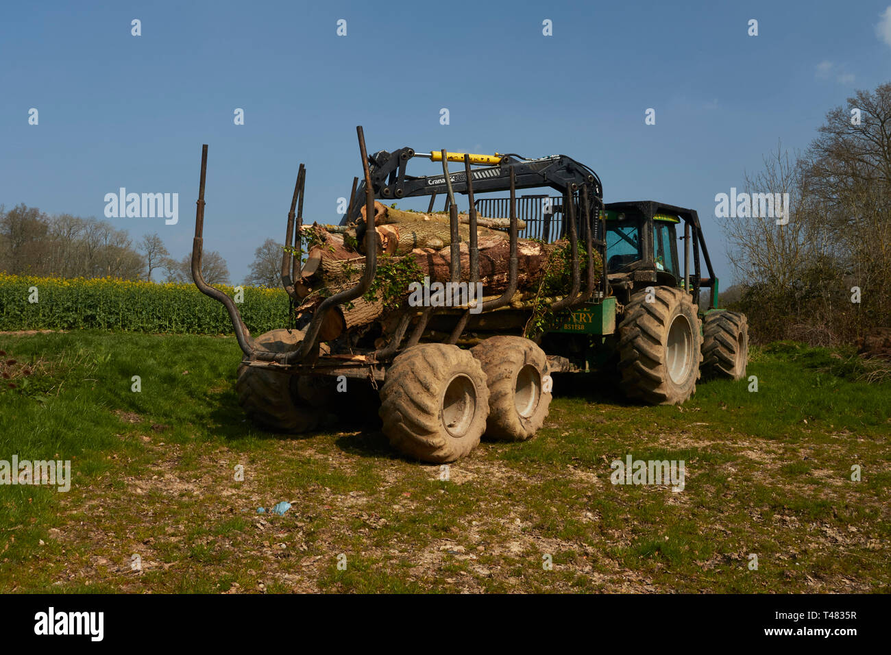 Forstwirtschaftliche Maschinen mit Logs, Kent, England, Europäische Union geladen, Europa Stockfoto