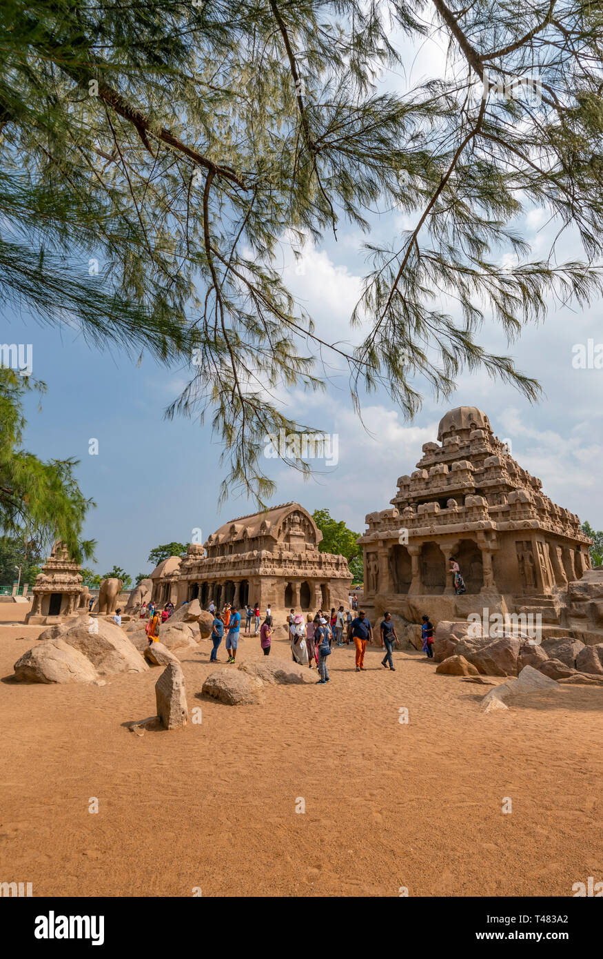 Vertikale Ansicht des Pancha Rathas in Mahabalipuram, Indien. Stockfoto