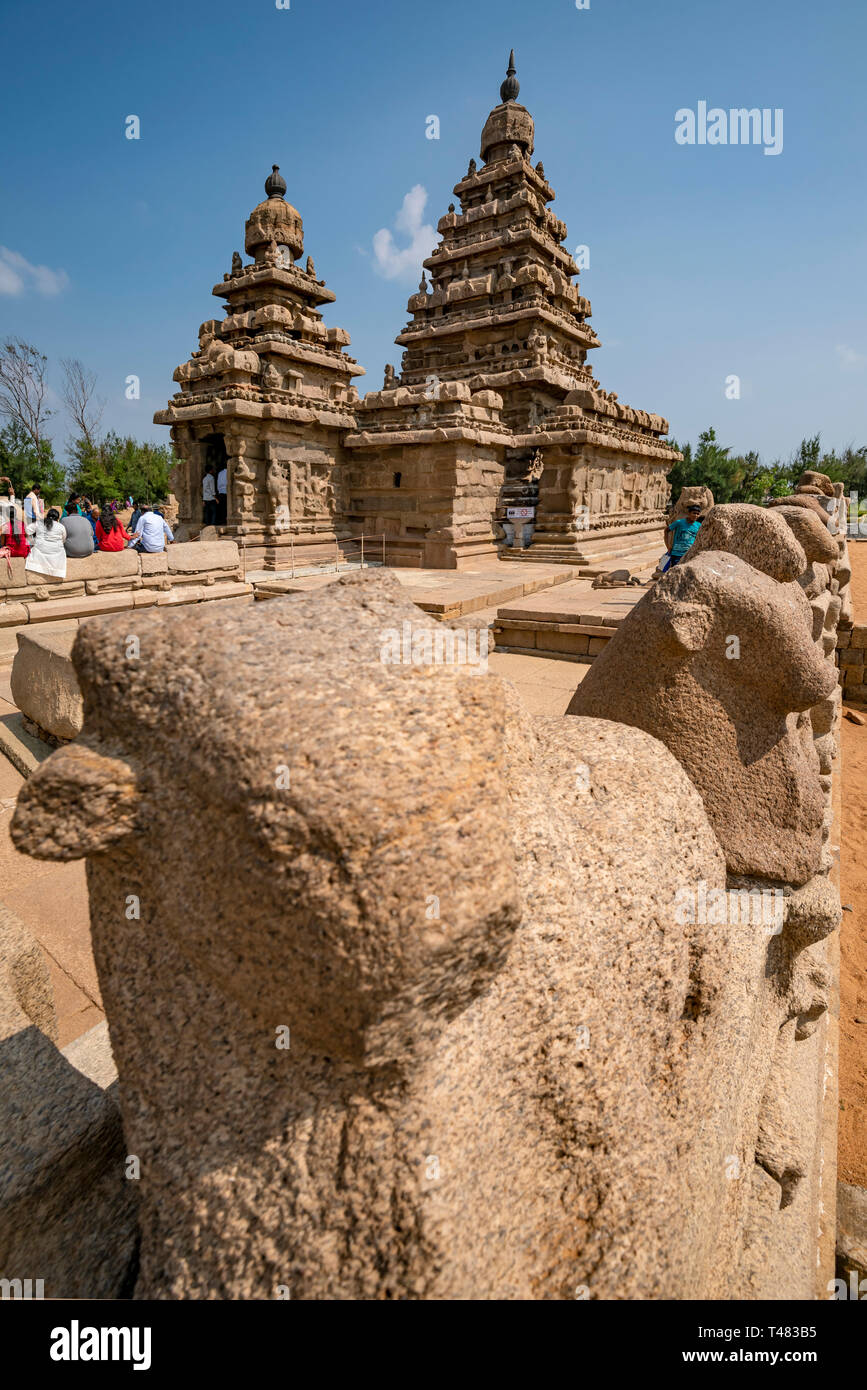 Vertikale Ansicht der Shore Tempel in Mahabalipuram, Indien. Stockfoto