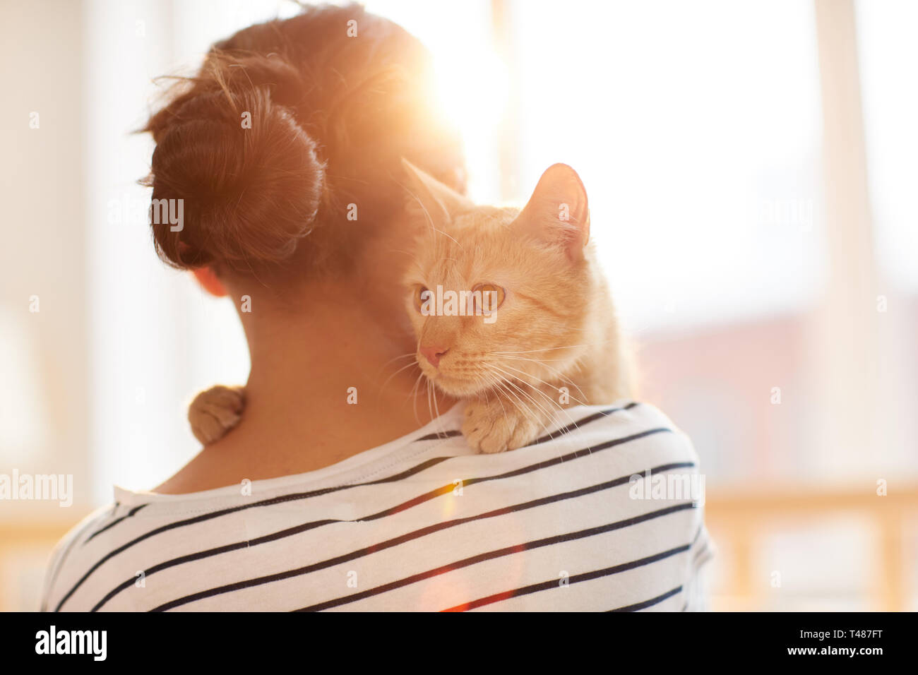 Ginger Cat umarmen Eigentümer Stockfoto