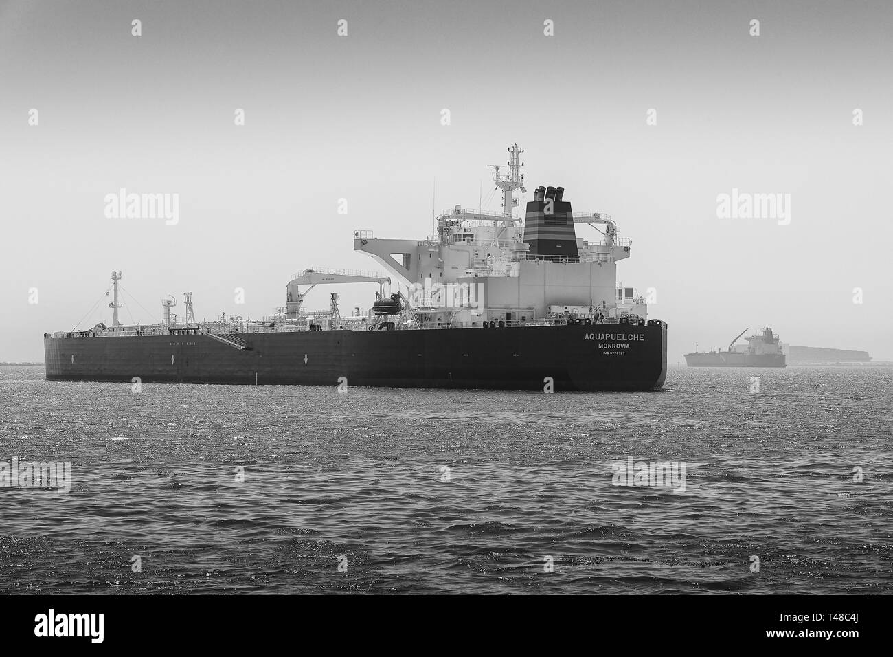 Schwarz-weiß Foto Der Supertanker, (Rohöl Tanker), AQUAPUELCHE, in den Hafen von Long Beach, Kalifornien, USA verankert. Stockfoto