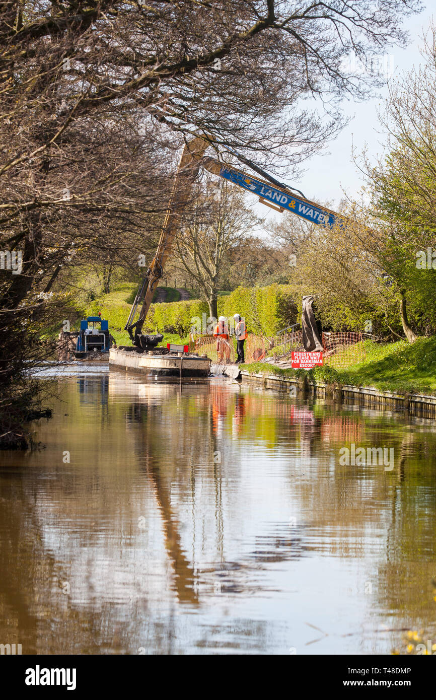 Wartung Reparatur und Ausbaggern der Macclesfield Canal bei Buglawton Cheshire England Großbritannien durchgeführt wird, Stockfoto
