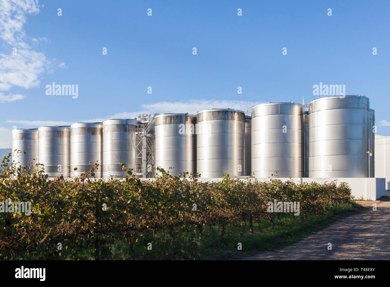 Linie der äußeren Wein Gärung tanks mit Weinberg im Vordergrund Van Loveren Wine Estate, Robertson Valley, Western Cape Town, South Afr Stockfoto