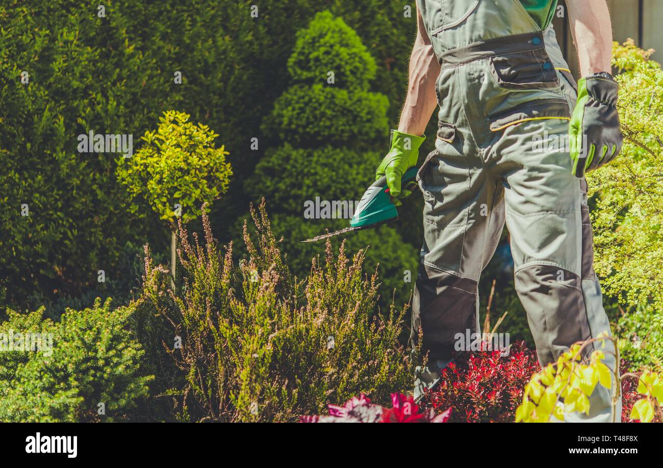 Garten Frühling Trimmen Job. Kaukasische Gärtner mit elektrischen Trimmer. Stockfoto