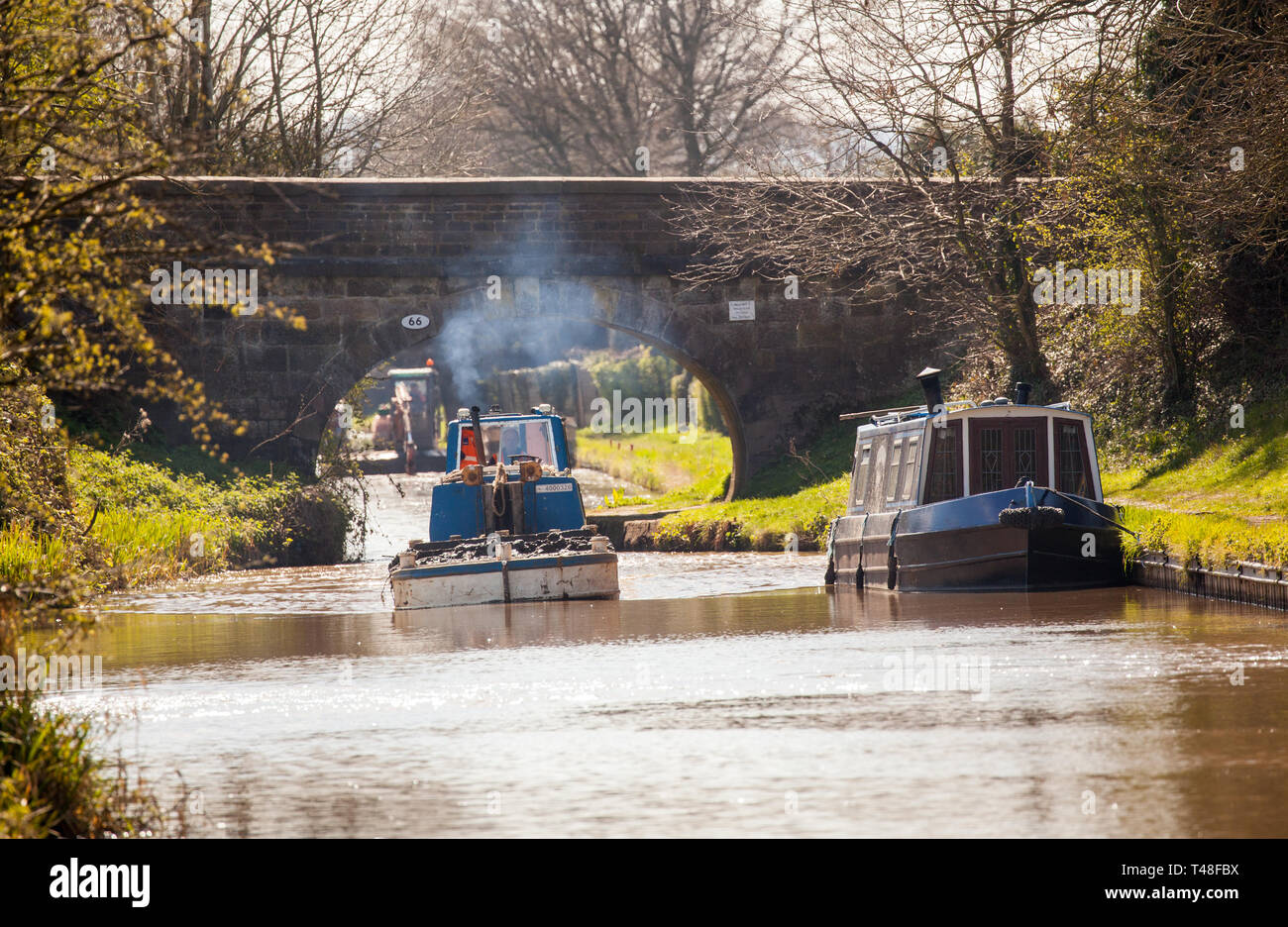 Wartung Reparatur und Ausbaggern der Macclesfield Canal bei Buglawton Cheshire England Großbritannien durchgeführt wird, Stockfoto