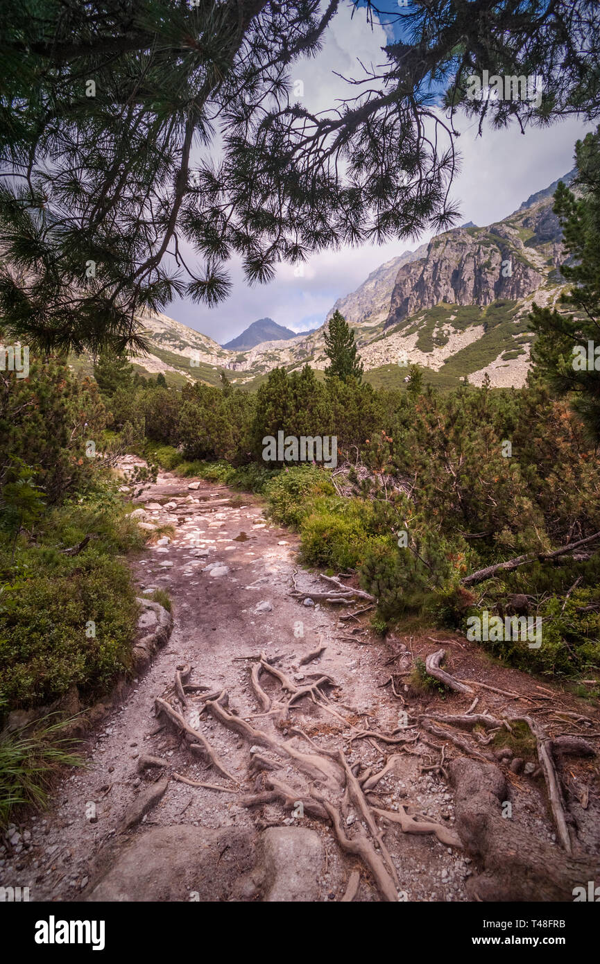 Die Route zu Vodopád Skok (Schleier Wasserfall) in der Slowakei Stockfoto