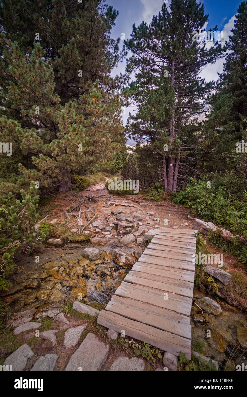 Die Route zu Vodopád Skok (Schleier Wasserfall) in der Slowakei Stockfoto