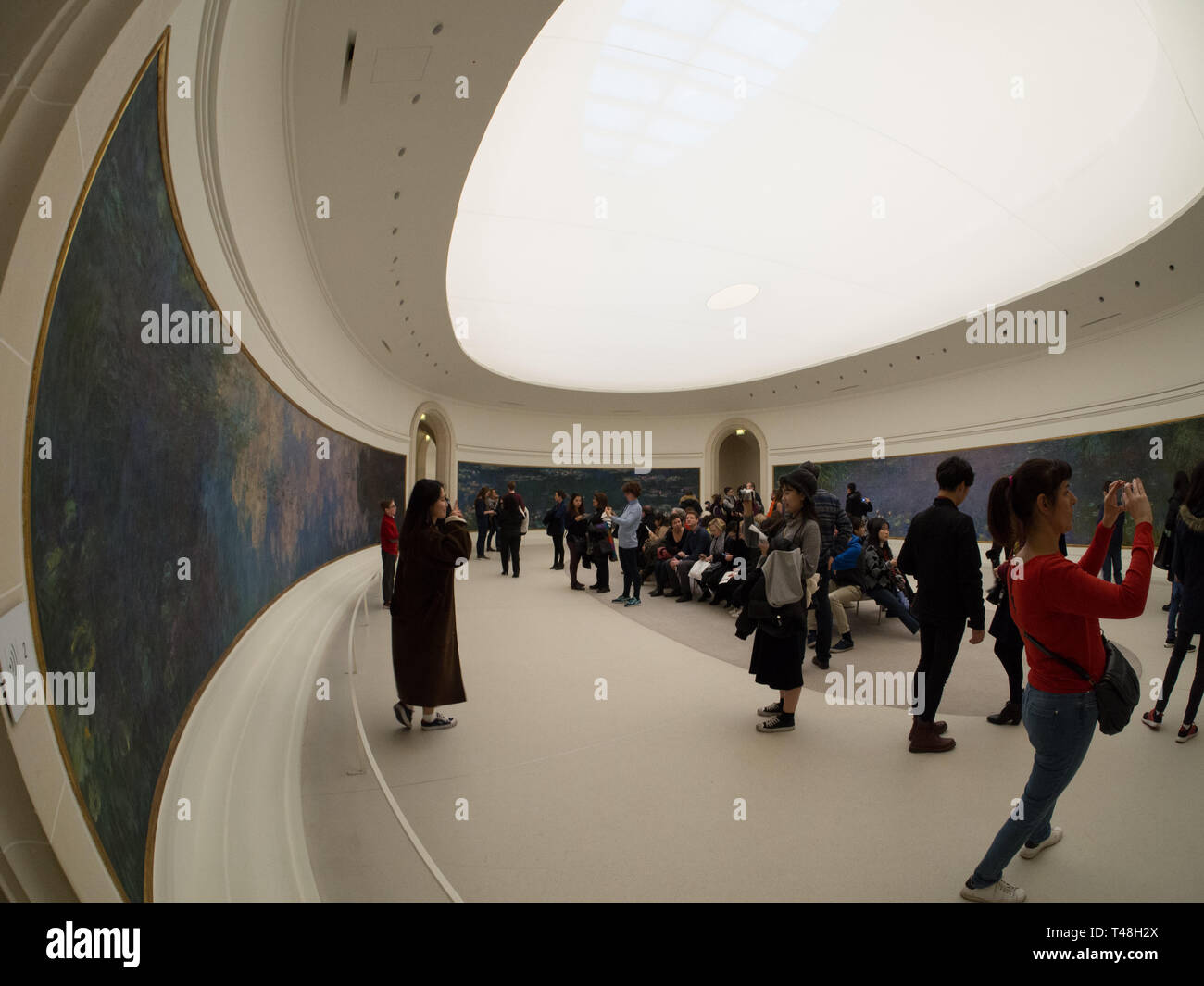 Monets Seerosen im gekrümmten Raum des Musée de l'Orangerie Stockfoto